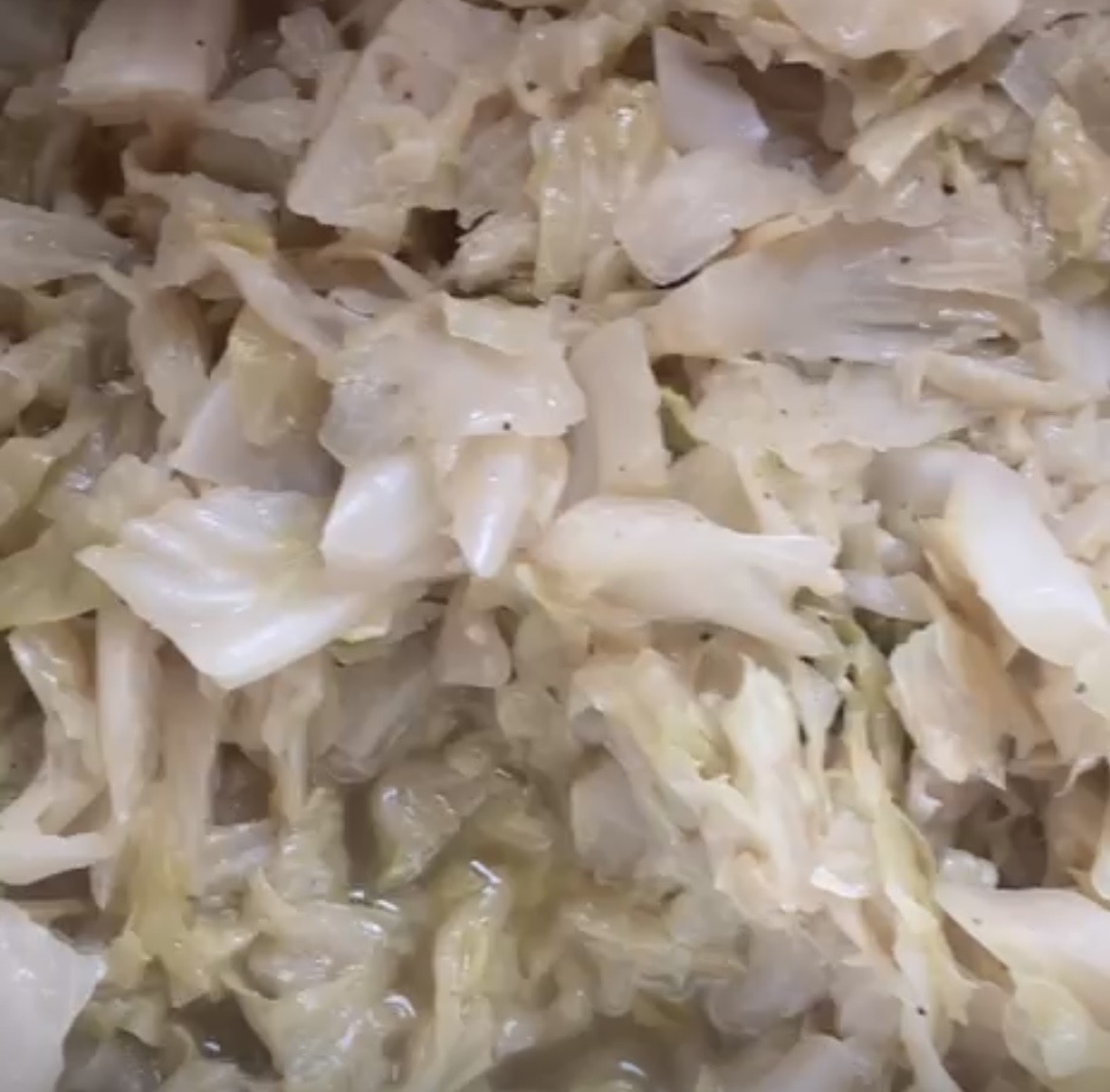 Cabbage